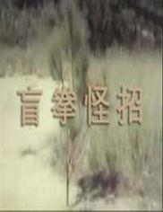 盲拳怪招,揭秘神秘武术传奇