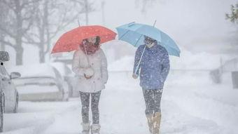 危险雪日,雪崩、滑倒与安全预警